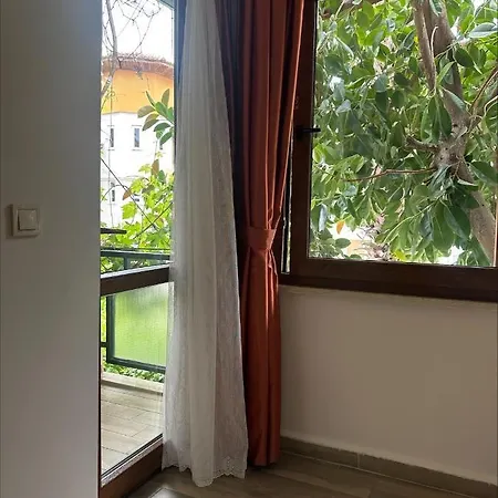 B&B Elvan *