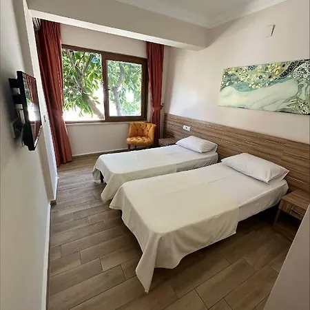 B&B Elvan *